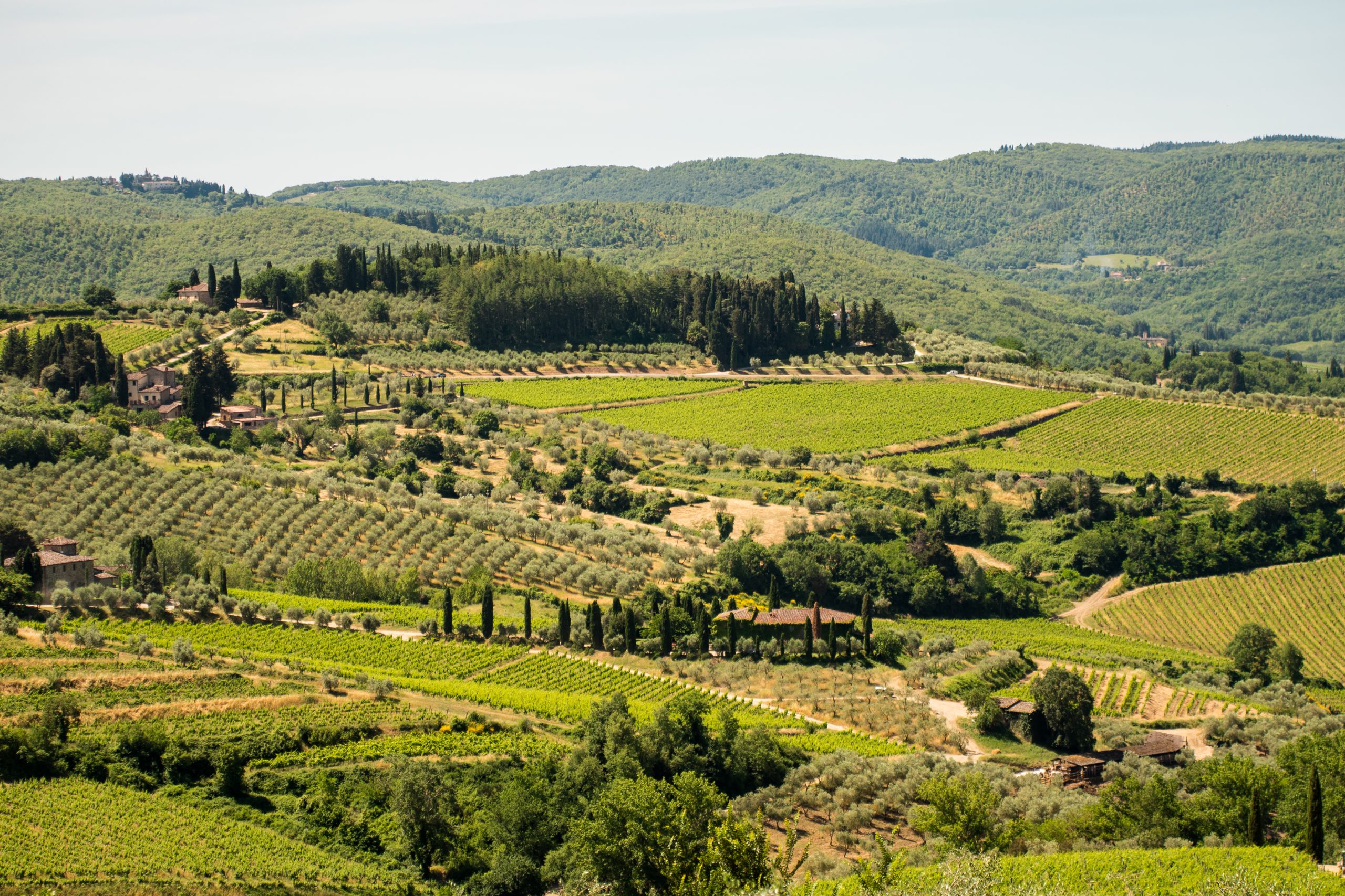 Come organizzare un viaggio in Toscana